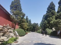 -北京市劳动人民文化宫(太庙)