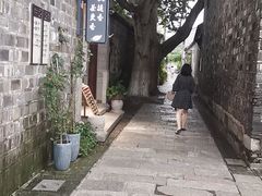-花迹(富春江东街店)