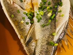 葱椒鲈鱼-绿茶餐厅(天津天河城店)