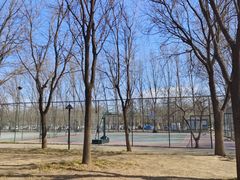 -五环公园