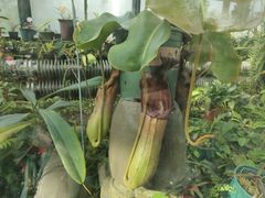 -国家植物园南园