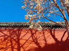 -天坛公园