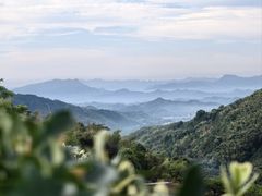 -东天目山风景区
