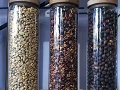 -Torch Coffee 炬点咖啡