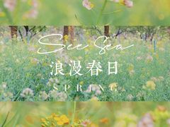 -天适樱花悠乐园