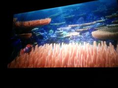 -万达影城(锦华万达广场IMAX店)