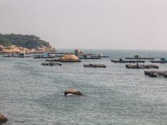 -东澳岛