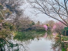 -西溪国家湿地公园