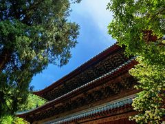 -报恩寺(平武县)