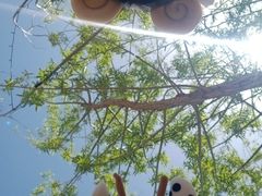 -嘉峪关方特欢乐世界