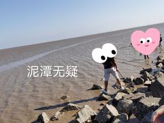 -南汇嘴观海公园