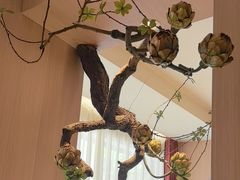 -鱼你相聚·河鲜馆(袁家岭店)