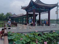 -莲花池公园
