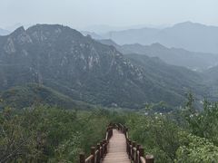 -大岭沟猕猴桃谷风景区