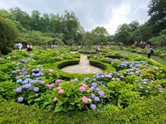 -上海共青森林公园