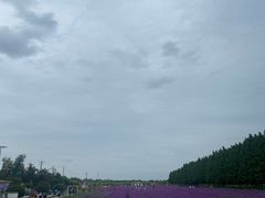 -嘉北郊野公园