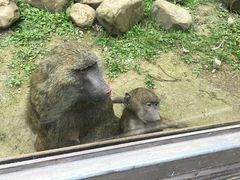 -黔灵山公园