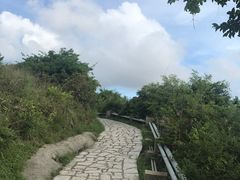 -南丫岛