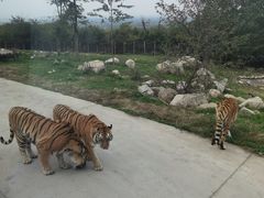 -西安秦岭野生动物园