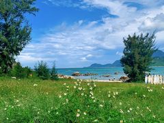 -花海间·即刻露营