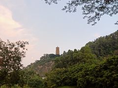 -南沙蒲洲花园