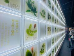 -广东中医药博物馆