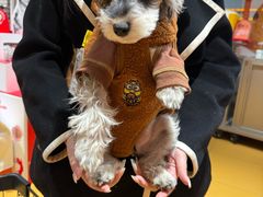 -MARSMART PETS火星宠物超市(1733店)