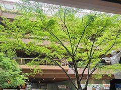 -Dough&Joe团憩(瑞虹天地月亮湾店)