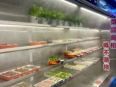 -黑猫馋纸包鱼(阳光店)