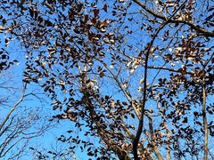 -南山风景名胜区