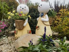 -上海共青森林公园