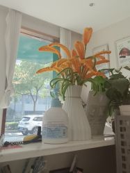 点击看大图 -Dr.林醫生产后修复·配方产康店(南京大厂店)