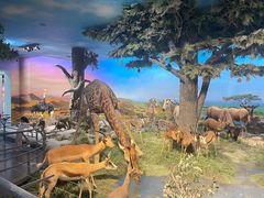 -国家自然博物馆