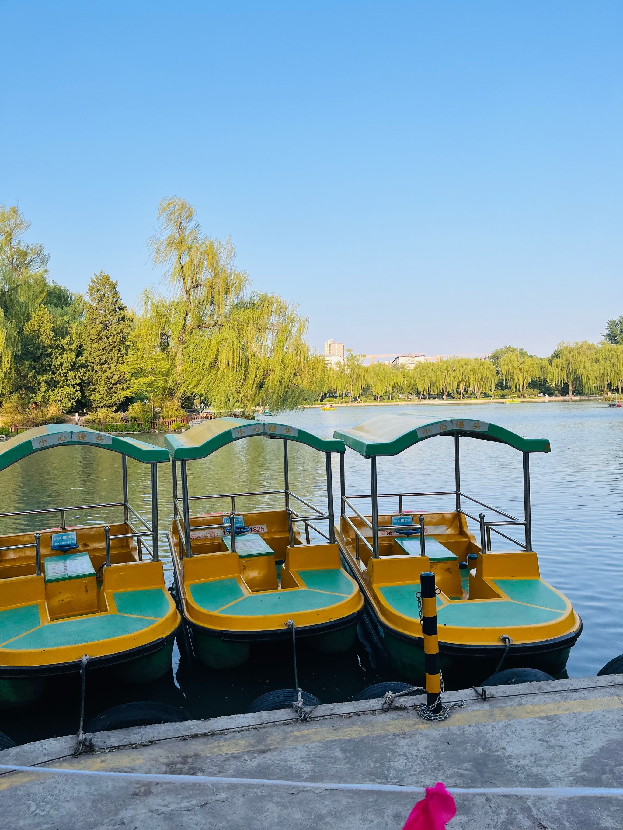 顺义卧龙公园的游船开啦!环境比较安静!