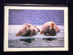 -罗红摄影艺术馆