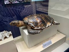 -上海中国航海博物馆