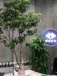 点击看大图 -Mentor Hair Salon