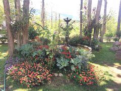 -黄色小屋
