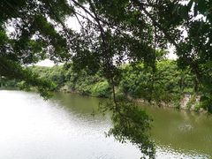 -花好悦园(瀛洲店)