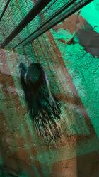 -酷嗒动物文化乐园(cutezoo西溪乐天城店)