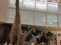 -阪急百货店(梅田总店)