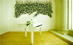 -盘子古摄影(顶务店)