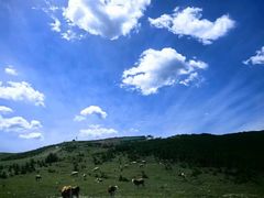 -五台山风景名胜区