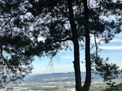 -铁山坪森林公园