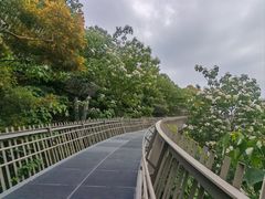-福道