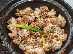 黄油焗花螺-恭喜上堓砂锅焗·海鲜大排档(闵行龙湖店)