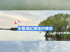 -贡湖湾湿地公园