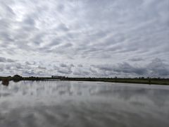 -盐城丹顶鹤湿地生态旅游区