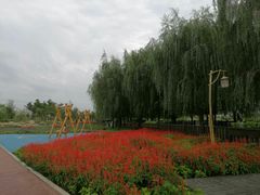 -羊亭河湿地公园