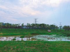 -野芷湖(地铁站)